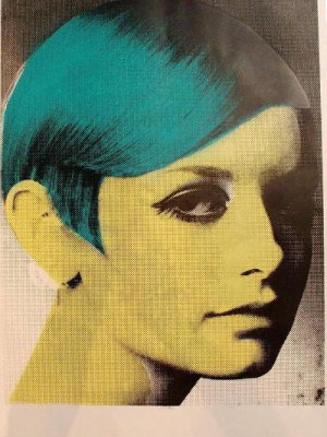 Twiggy - 2