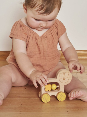 Wooden Push Along Little Lion