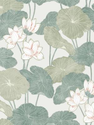 Lily Pad Peel & Stick Wallpaper In Beige And Green By Roommates For York Wallcoverings