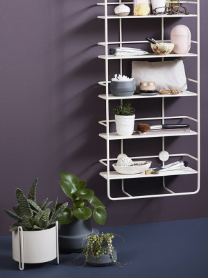 Coupe Shelf