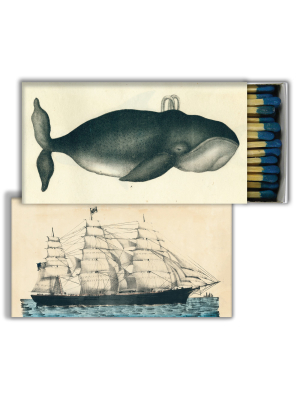 Whale & Clipper Ship