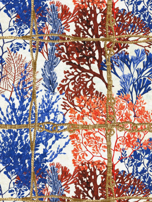 Corallia Wallpaper In Blue And Red From The Sundance Villa Collection By Mind The Gap