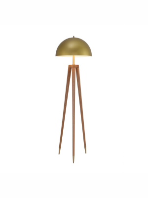 Brass Dome Floor Lamp With Wooden Tripod Base