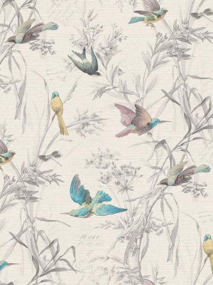 Birds Of Paradise Wallpaper In Frost From The Sanctuary Collection By Mayflower Wallpaper