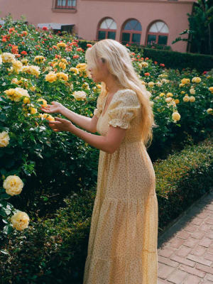 The Brooklyn Dress | Golden Pollinator Garden Silk-cotton