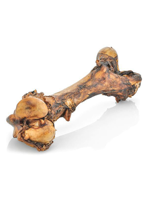 Monster Dog Bone
