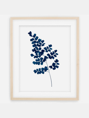 Living Pattern Framed Print - Indigo Maidenhair Fern No. 2