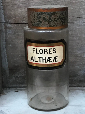 19th Century Apothecary Jar -flores Althææ