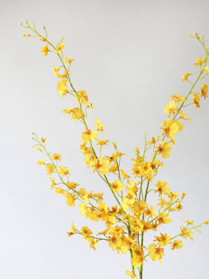 Artificial Dancing Orchid Flowers - 40"