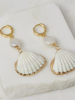 Coquille Shell Earrings