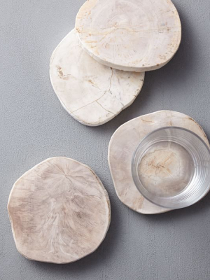 Petrified Wood Coasters (set Of 4)