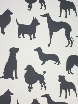 Best In Show Wallpaper In Black From The Walk In The Park Collection By Osborne & Little