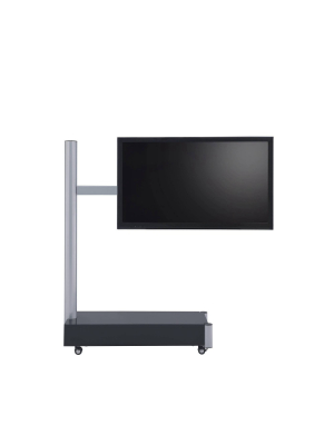 75" Tv Stand Symphony Silver/black - Proman Products