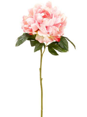 Silk Flower Peony In Pink - 23"