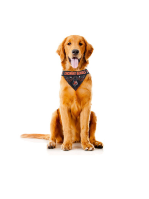 The Cincinnati Bengals | Pet Bandana