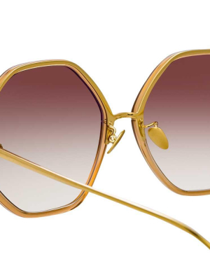 The Alona | Oversized Sunglasses In Brown Frame (c7)