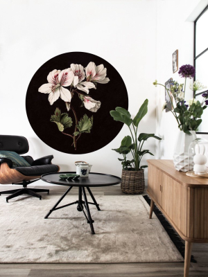 Small Wallpaper Circle In White Flowers 071 By Kek Amsterdam