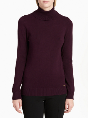 Solid Ribbed Turtleneck Sweater