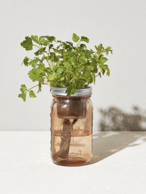 Parsley Garden Jar