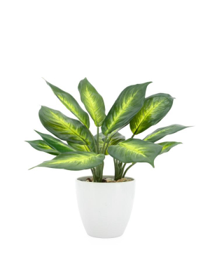 Villa Faux Potted 13" Plant - Dieffenbachia