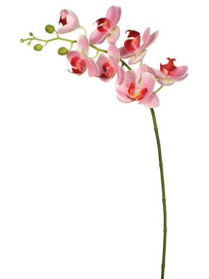 Artificial Real Touch Orchid-7 Heads Pink - Vickerman