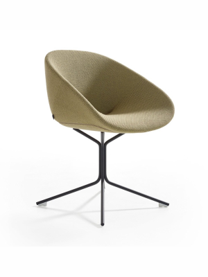 Beso Star Base Armchair By Artifort