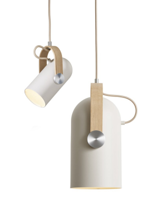 Carronade Spot Pendant Light