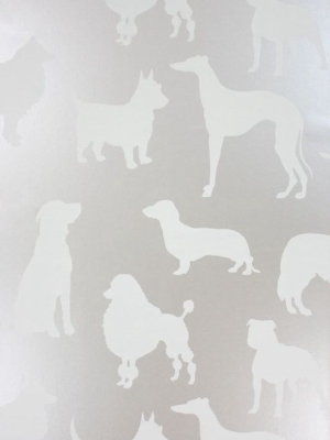 Sample Best In Show Wallpaper In Gray From The Walk In The Park Collection By Osborne & Little