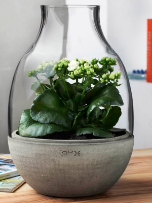 Eden Terrarium Clear With Moulded Concrete Base