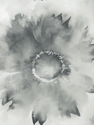 Watercolor Sunflower Wallpaper In Grey And Black From The L'atelier De Paris Collection By Seabrook