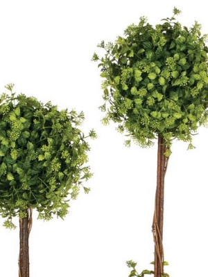 Sullivans Artificial Set Of 3 Boxwood And Berry Topiary 31"h, 26.5"h & 25"h Green