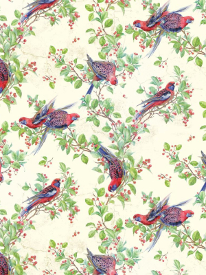 Crimson Rosella Wallpaper From The Wallpaper Republic Collection By Milton & King