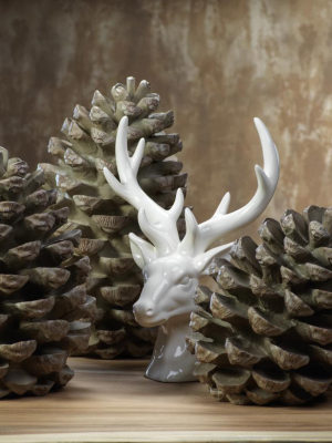 Decorative Pine Cones