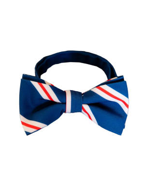The Trust Funder | Bow Tie