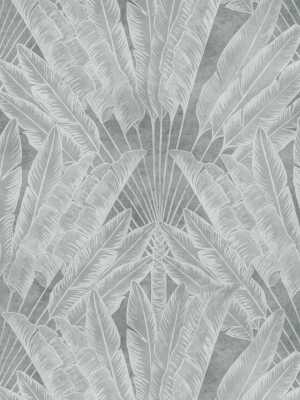 Travelers Palm Wallpaper (two Roll Set) In Stone By Bethany Linz For Milton & King