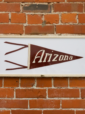 Vintage Arizona Pennant - Framed