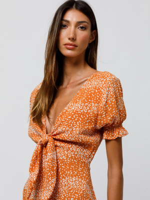 Danny Dress In Tango Animal