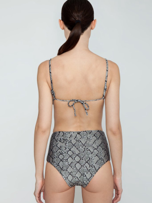 Audrey High Waisted Bikini Bottom - Serpent Snakeskin Print