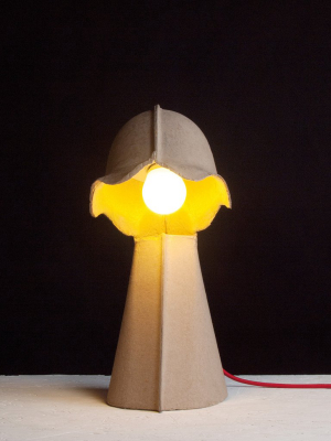 Egg Of Columbus Table Carton Lamp