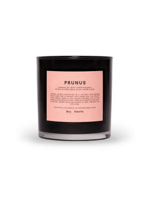 Prunus Candle