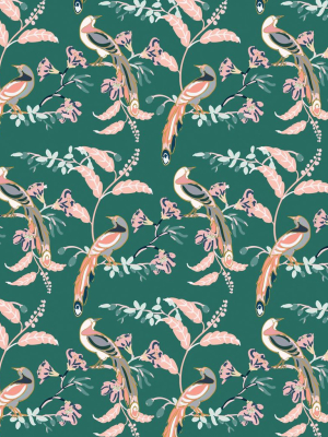 Birds Of Paradise Wallpaper In Green Vogue From The Wallpaper Republic Collection By Milton & King