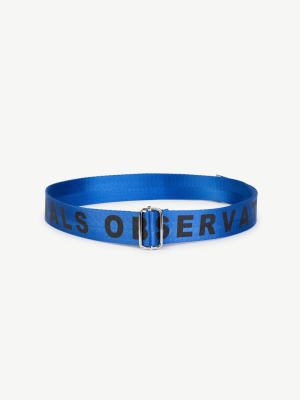 Lizard Letters Belt - Blue