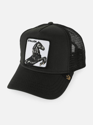 Stallion Trucker Hat