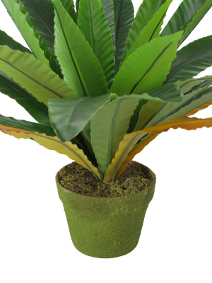 Northlight 22" Bird Nest Fern Artificial Potted Plant - Green/brown