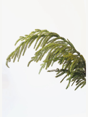 Afloral Real Touch Norfolk Pine Branch - 36 – ELAN BAZAAR
