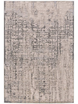 Feizy Rug Prasad 3683f, Gray