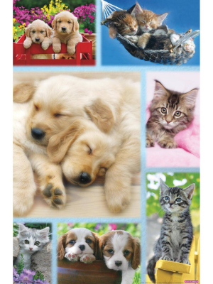22.375" X 34" Keith Kimberlin - Puppies And Kittens Collage Unframed Wall Poster Print - Trends International