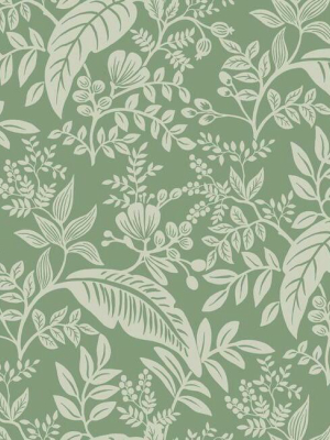 Canopy Wallpaper In Sage From The Rifle Paper Co. Collection By York Wallcoverings