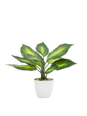 Villa Faux Potted 11" Plant - Dieffenbachia