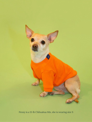 The Lucky Orange Sweatshirt